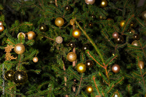 the Christmas fir background