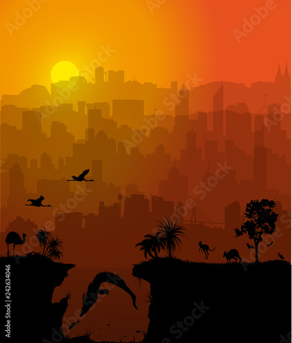 Vector background with Australian cities and wildlife silhouettes