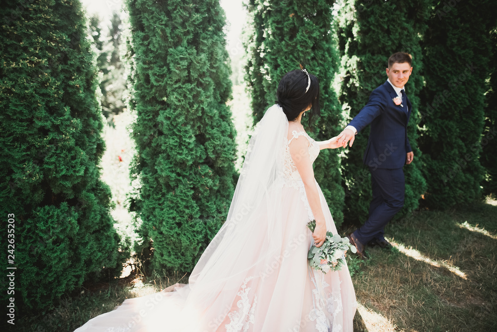 Happy wedding couple walking in a botanical park Happy wedding couple walking in a botanical park
