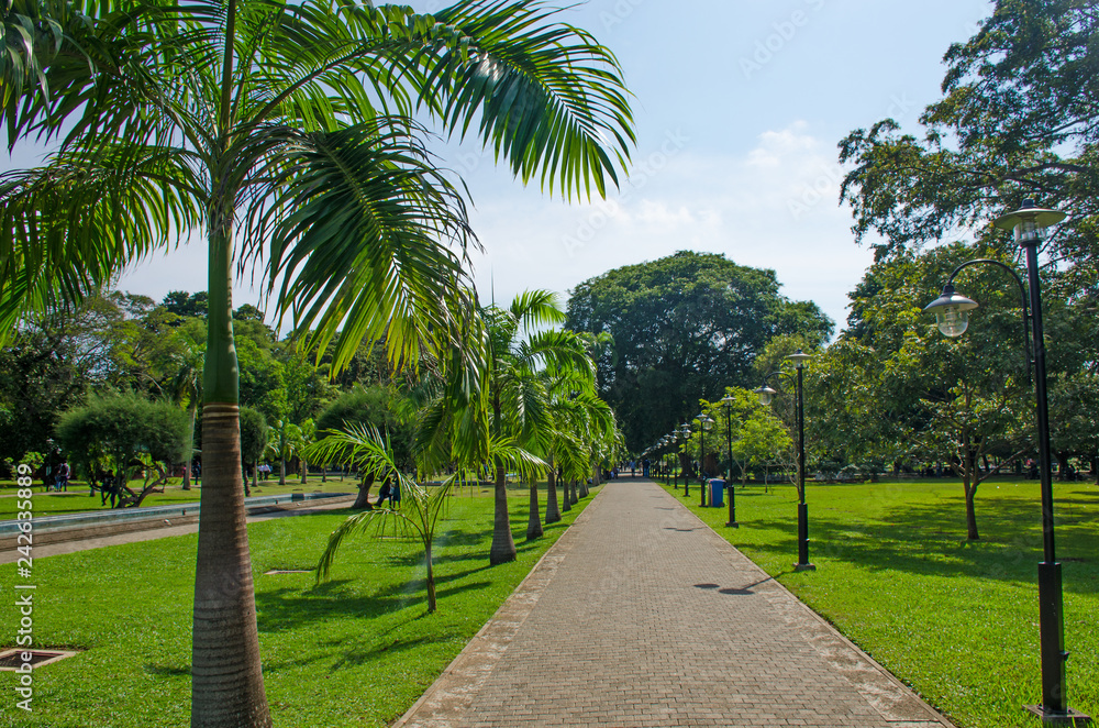 Fototapeta premium Viharamahadevi the park to the city of Colombo of Sri Lanka 