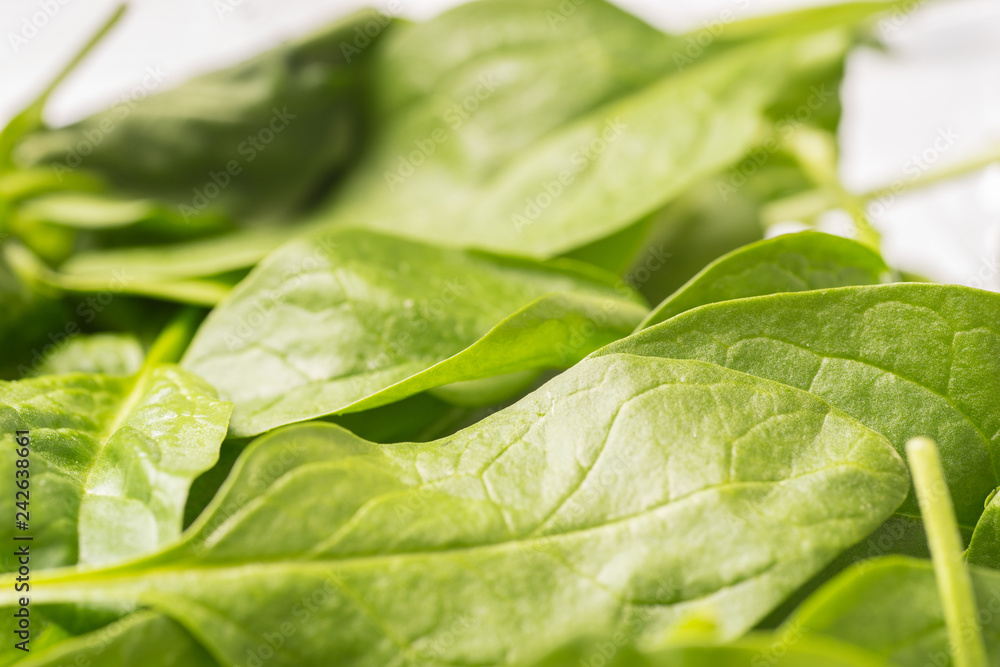 Close up of green crispy spinach, full frame Close up of green crispy spinach, full frame