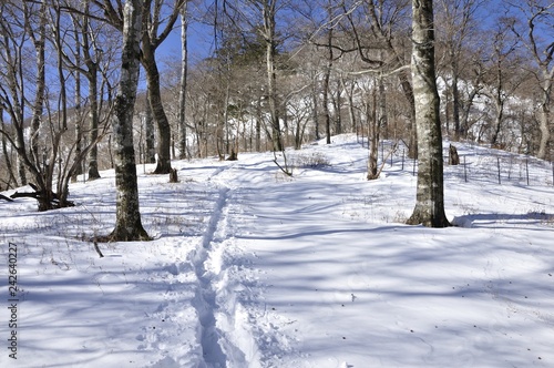 丹沢山に続く雪道