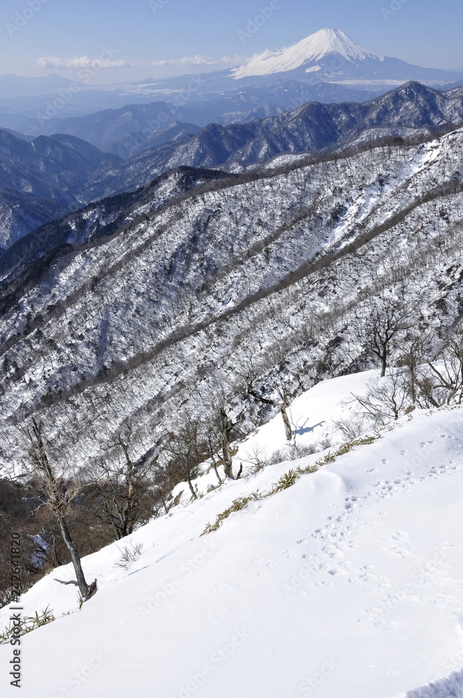 Fototapeta premium 丹沢山の雪景色と富士山