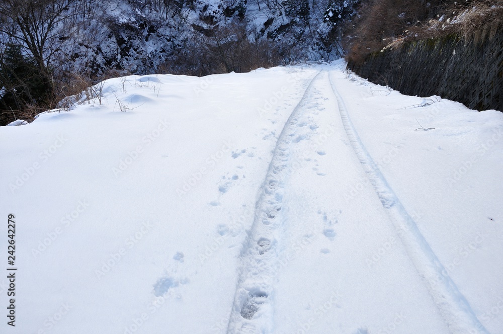 雪道の轍 雪道の轍