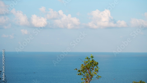 Tropical Tree with leaf nranch From The Top Of Mountain Peak With Deep Blue Sea Below,The Mountain Viewpoint,Travel In The South Of Thailand