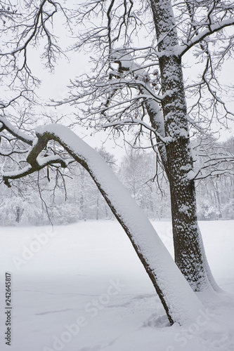 Winter, starker Schneefall in München