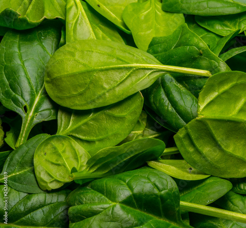 Baby Spinach