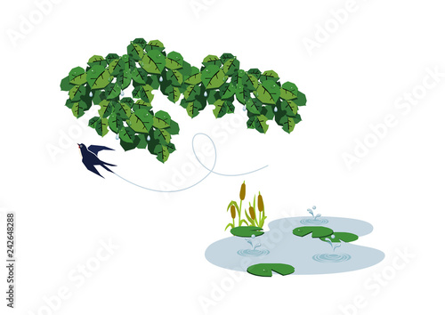  池に降る雨。 梅雨のイラスト。 水際の生物。 雨が降っている風景。 自然の景観。 梅雨の風景のイメージ。