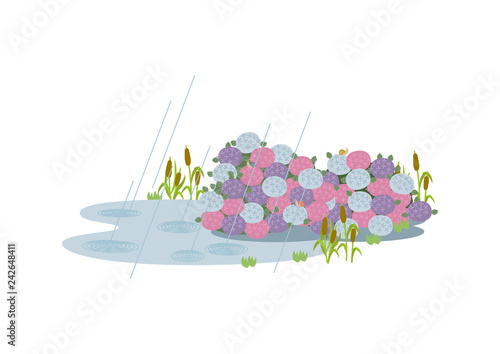  池に降る雨。 梅雨のイラスト。 水際の生物。 雨が降っている風景。 自然の景観。 梅雨の風景のイメージ。