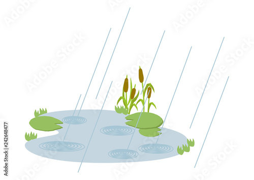  池に降る雨。 梅雨のイラスト。 水際の生物。 雨が降っている風景。 自然の景観。 梅雨の風景のイメージ。