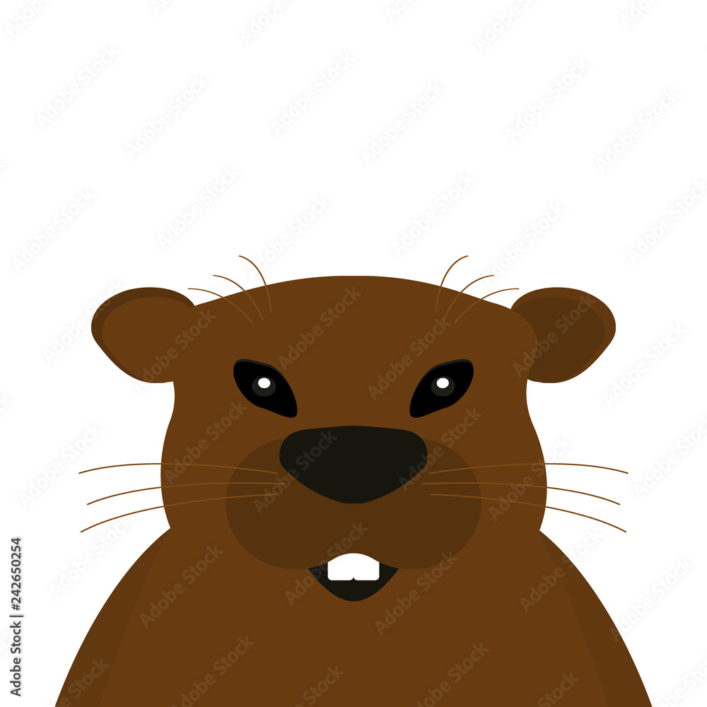Groundhog on a white background. Groundhog on a white background.