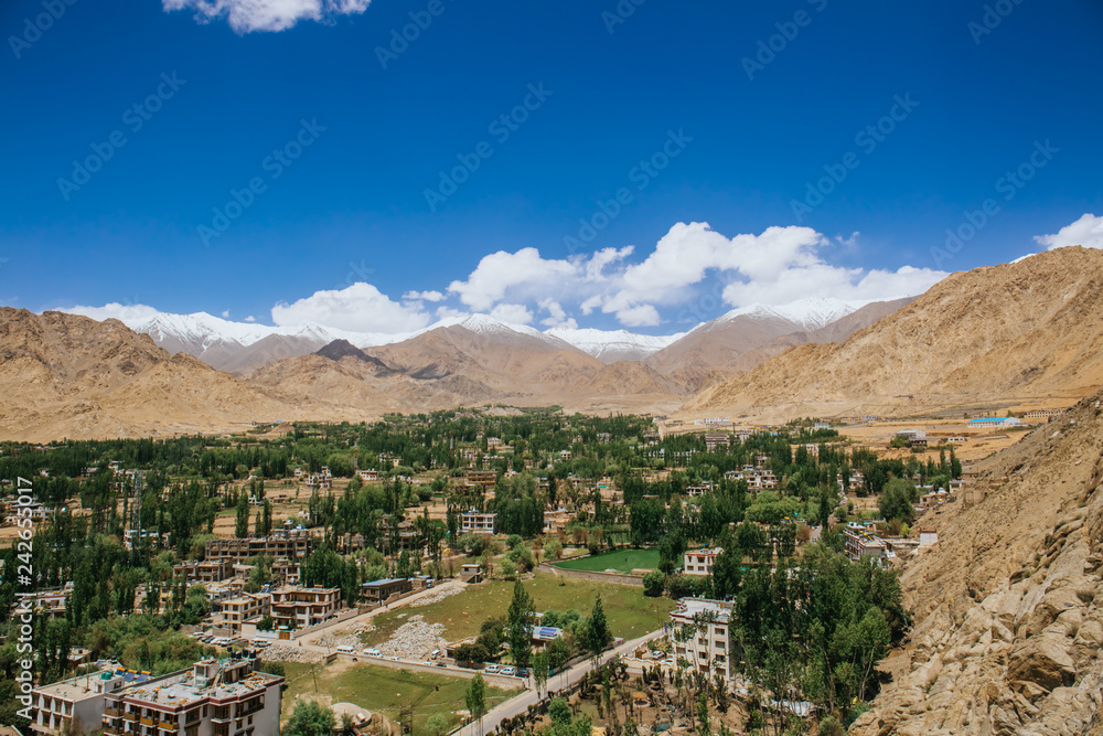 Landscape of Leh city and mountain
