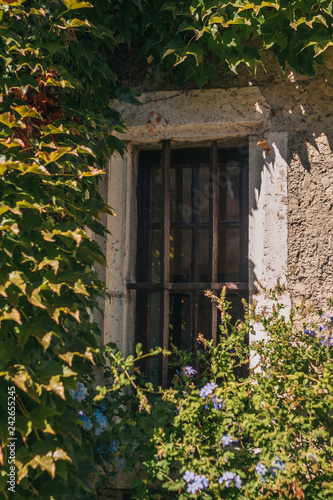 A window in a stone wall surrounded by green plants