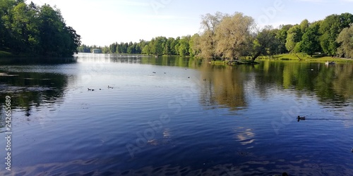 Fototapeta Naklejka Na Ścianę i Meble -  Blue summer sky reflected in the big lake