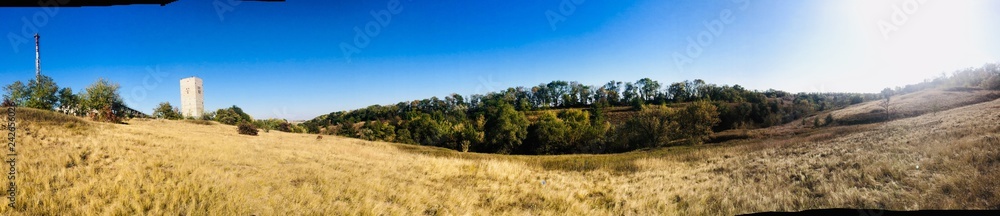 grass and sky