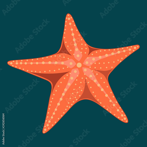 Vector image of a starfish on a blue background.