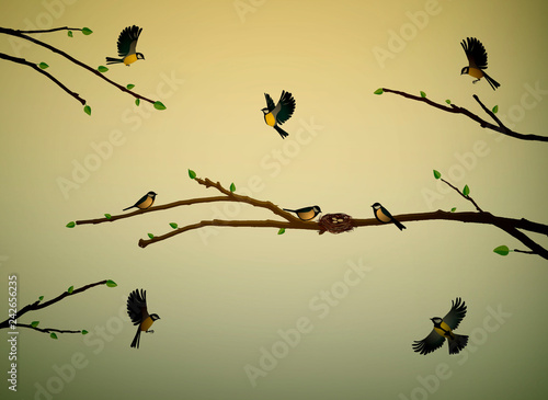titmouse birds on the tree branch in spring season  bird nest in spring season 