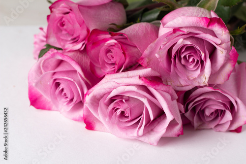 bouquet of pink roses close up on a white background and place for text.