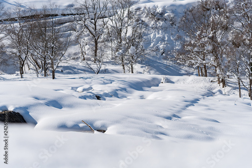 降雪後の清津川 © Yuuki Ohtsuru