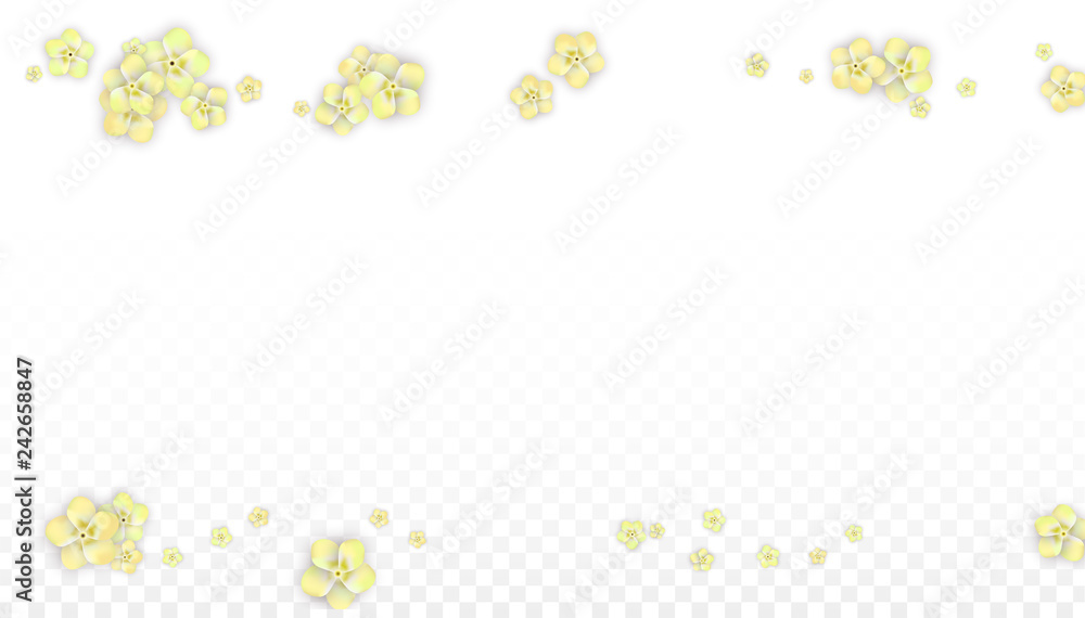 Vector Realistic Yellow Flowers Falling on Transparent Background. Spring Romantic Flowers Illustration. Flying Petals. Sakura Spa Design. Blossom Confetti. Design Elements for Wedding Decoration. Vector Realistic Yellow Flowers Falling on Transparent Background. Spring Romantic Flowers Illustration. Flying Petals. Sakura Spa Design. Blossom Confetti. Design Elements for Wedding Decoration.