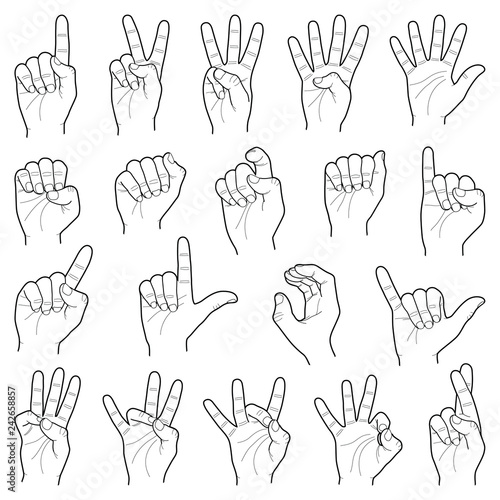 Hand collection - vector line illustration