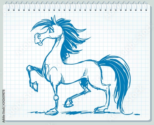 Sketch, drawing of a lovely horse