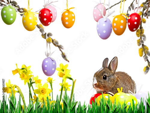 little rabbit and easter eggs isolated on white © Vera Kuttelvaserova