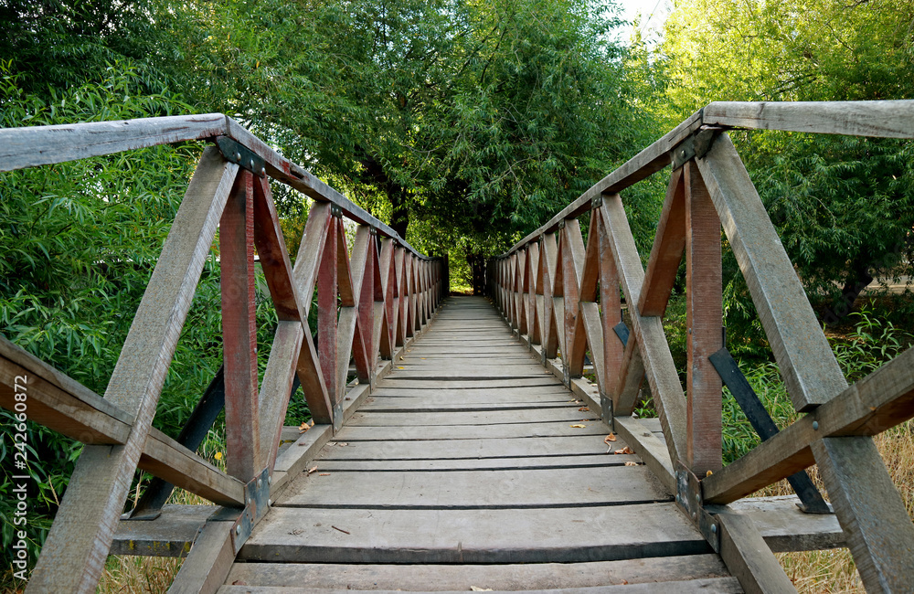 Wooden Bridge Across a River Among Lush Green Foliage, El Calafate, Patagonia, Argentina, South America Wooden Bridge Across a River Among Lush Green Foliage, El Calafate, Patagonia, Argentina, South America