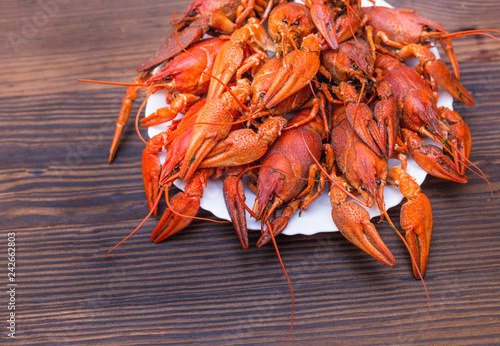 red large boiled crayfish on a plate of beer