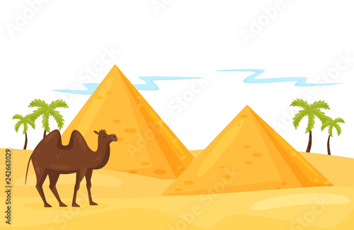 Landscape of desert with Egyptian pyramids  palm trees  brown camel and sand. Natural scenery. Flat vector design