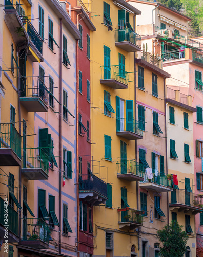 manarola