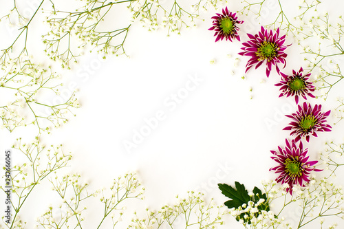 Background from flowers gypsophila and chrysanthemums. White background, gypsophila flowers, red chrysanthemums for design and text.