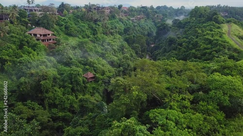 Valley near the Campuhan Ridge Walk in Ubud (Bali) from above. Aerial drone footage