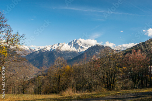 mountain with snow alps with trees and blue sky