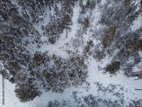 Aerial view of winter siber...