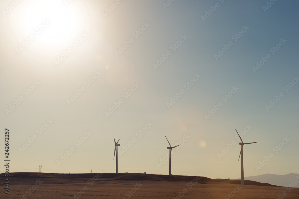 Obraz premium Wind energy concept