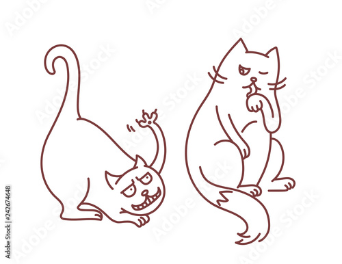 Bad hooligan cat fights and provokes calm and smart cat