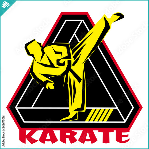 Karate high kick emblem. Martial art colored simbol design. Vector, EPS.