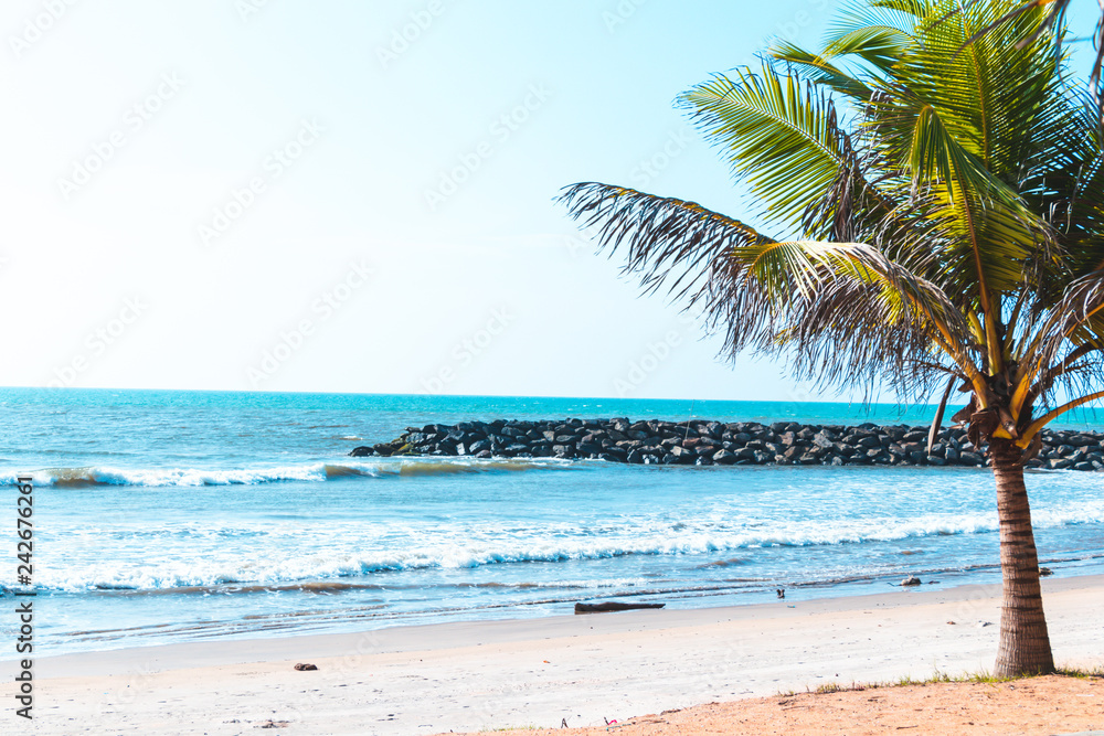 Obraz premium beach and tropical sea in Sri lanka