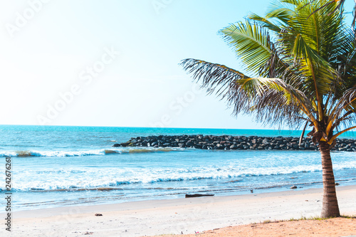 beach and tropical sea in Sri lanka