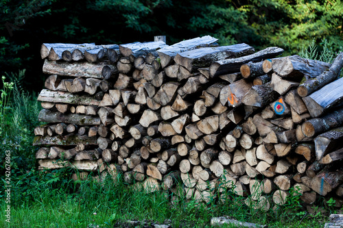 Stack of raw wooden lumber on the grass by the forest. Industry concept with lumberyard and wood. Pile of lumber prepared for the fire wood in the winter
