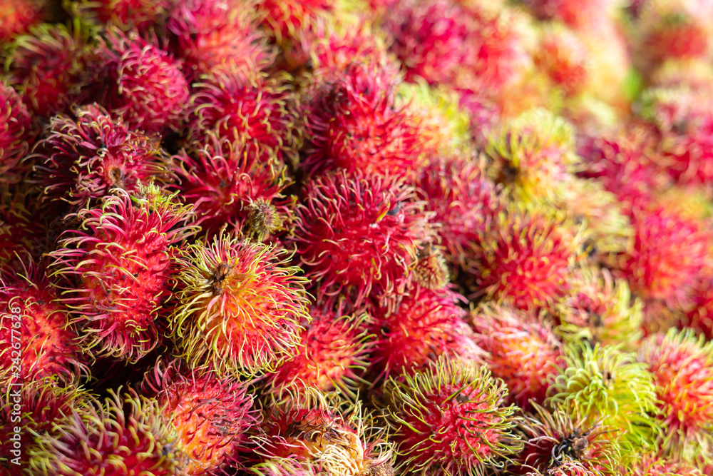 rambutan sweet delicious fruit.background of fresh Thai rambutans. rambutan sweet delicious fruit.background of fresh Thai rambutans.