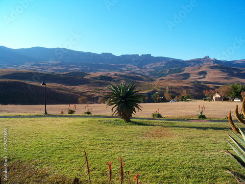 rural landscape 