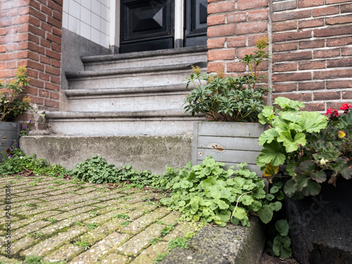 typical amsterdam canal house entrance with stone steps