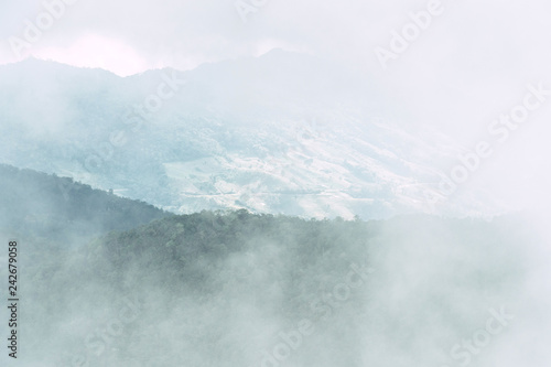 mountain peak on the time of thick fog