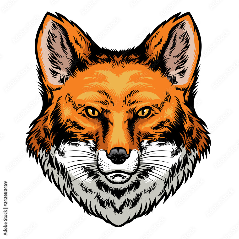 Fototapeta premium fox head hand drawn style