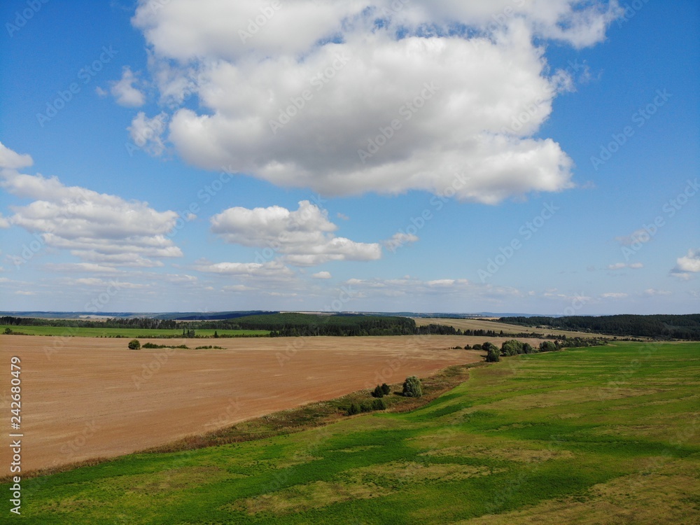 Naklejka premium Top view of the fields and harvest. Shooting from the quadcopter. sunny day