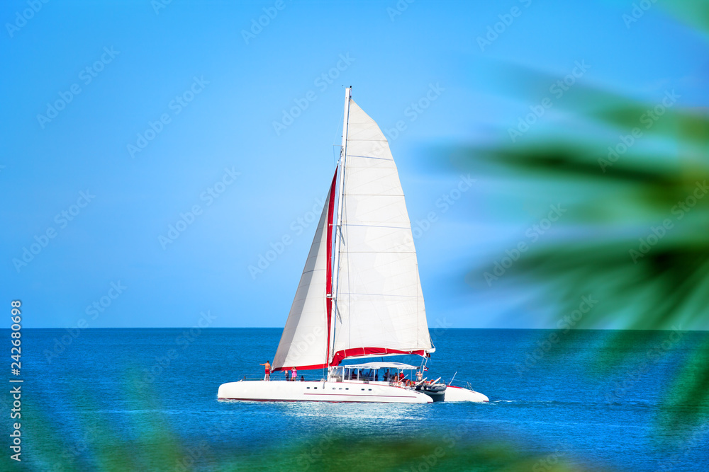 Naklejka premium Catamaran with white sail in blue sea, palm branches background, people relax on boat, summer vacation sea trip on ship, holiday cruise to exotic tropical islands, yacht regatta sailing