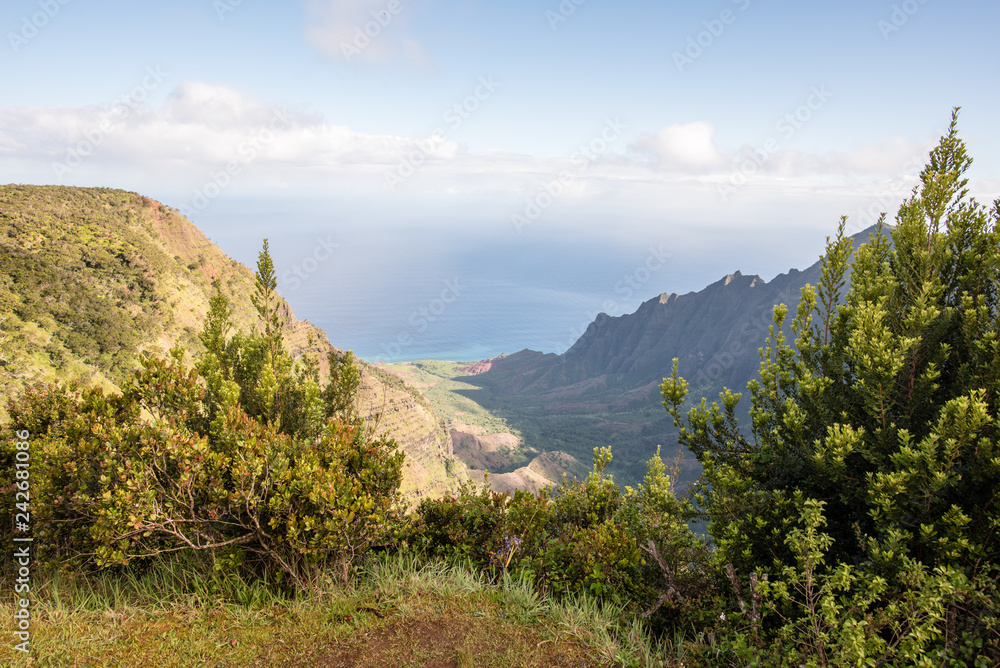 Fototapeta premium Kauai, Hawaii