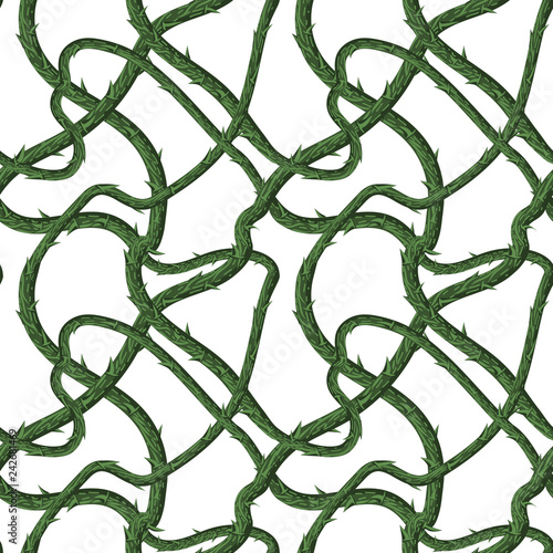 Spikes roses. Seamless pattern. Texture of prickly bush. Vector illustration.